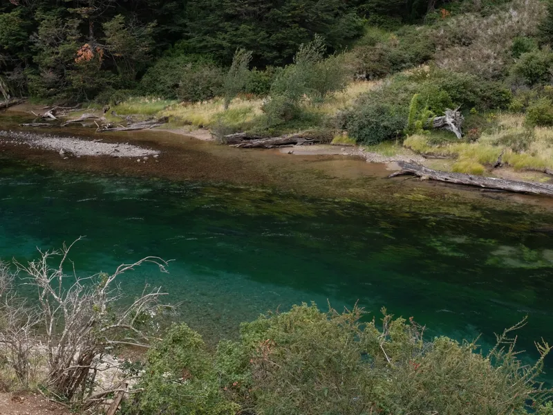 A deep emerald pool on a clear Patagonian river, forested banks all around
