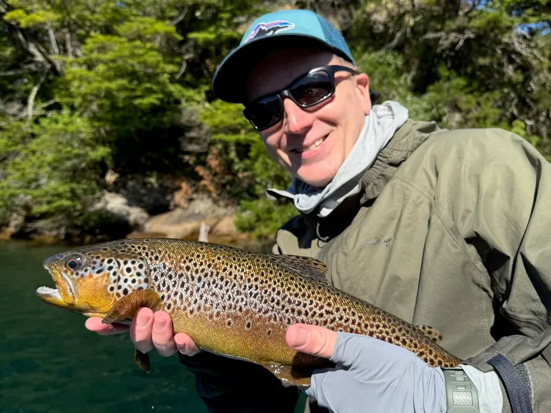 Brown trout caught on dry fly