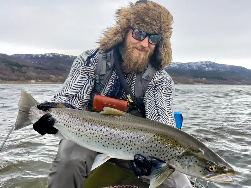 A big fjord sea trout held up before release, Alta