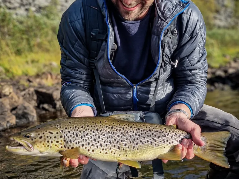 Ivalo migratory brown trout