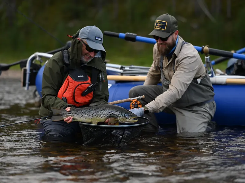 Angler with the migratory brown trout