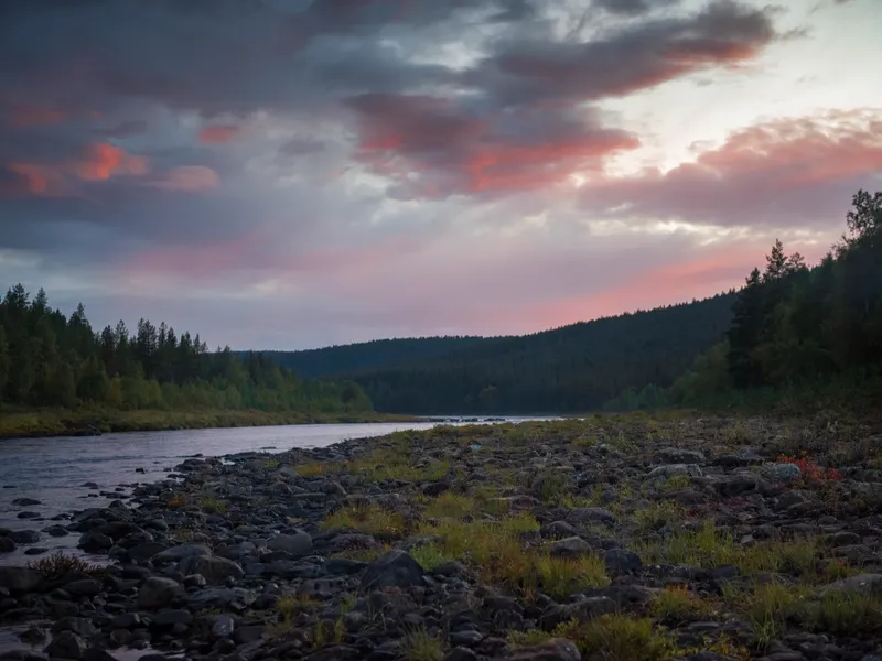 The river landscape with pink clouds